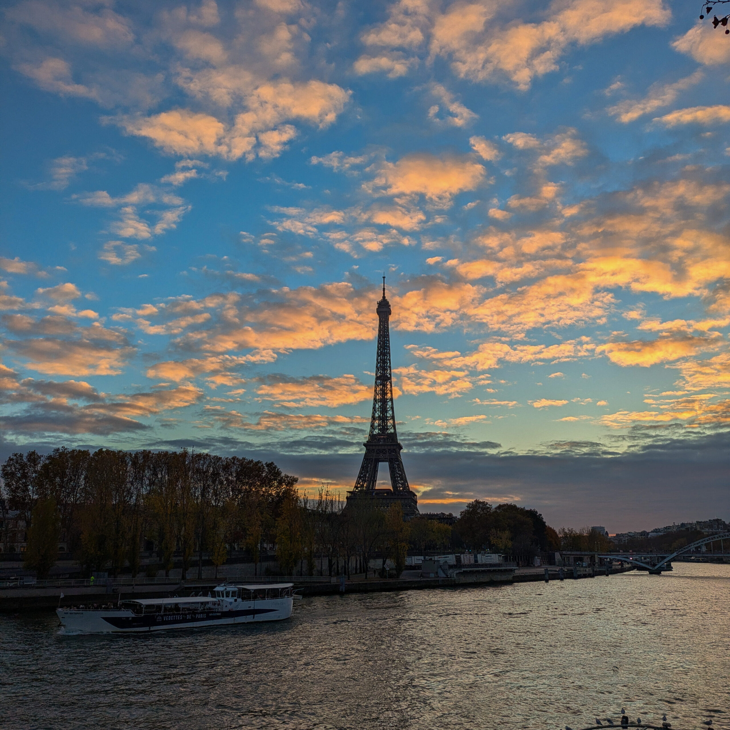 pxl 20241114 155434451 original