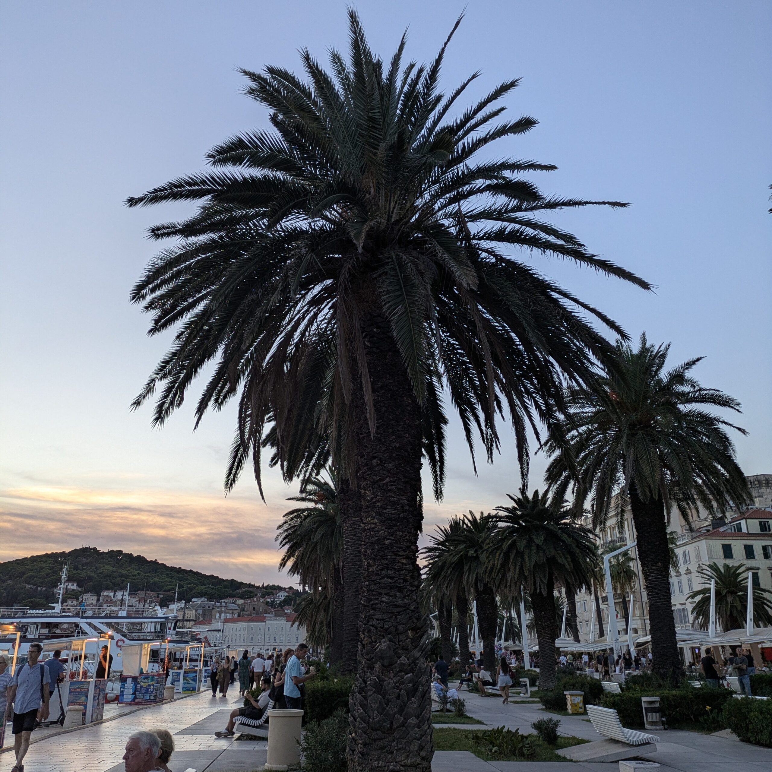 pxl 20250922 164713574