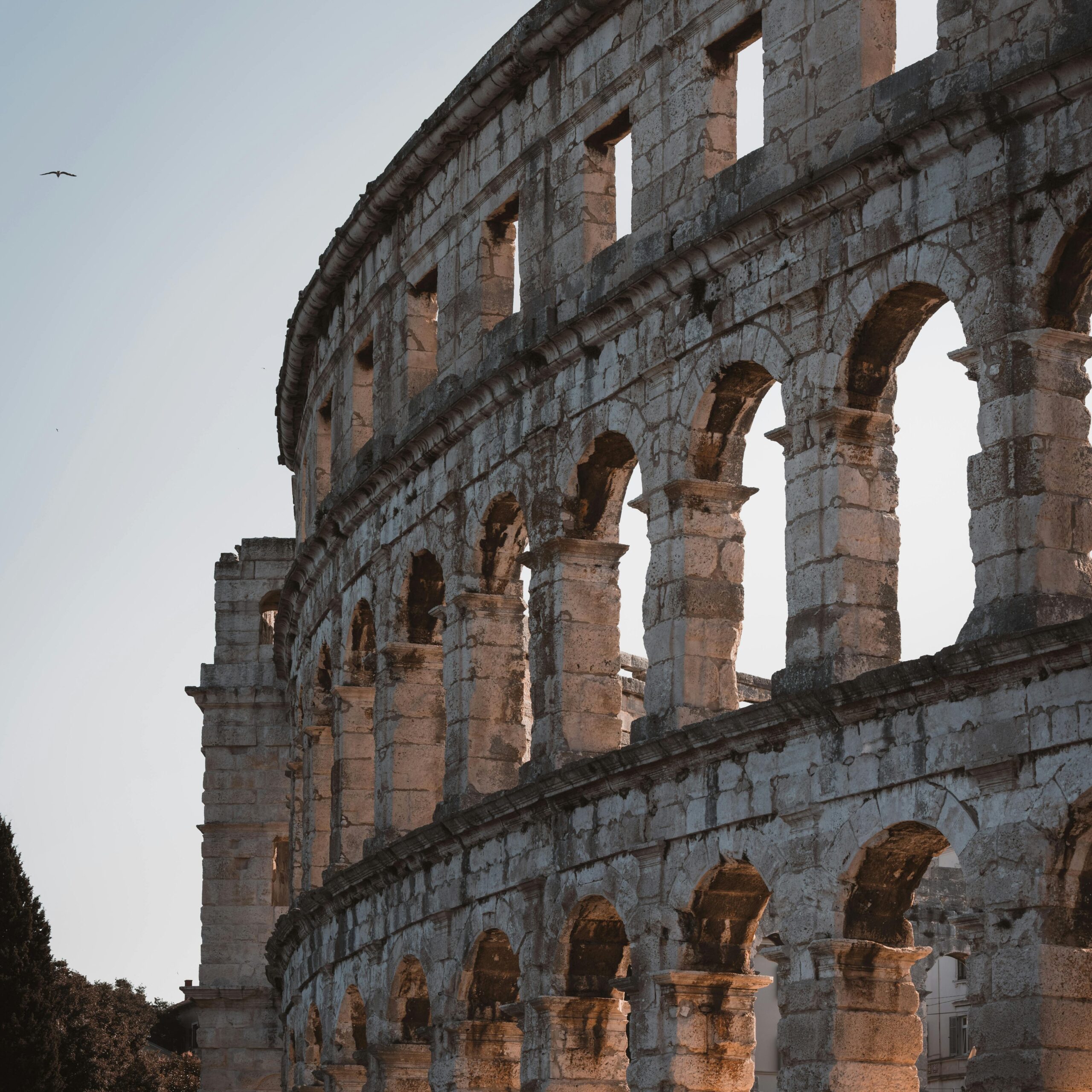 pexels ahmetyuksek 27059264